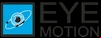Eye Motion