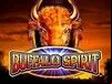 Buffalo Spirit