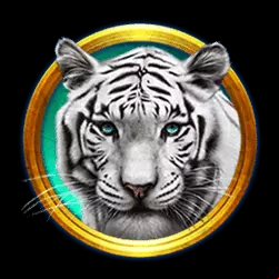 Icon 1
