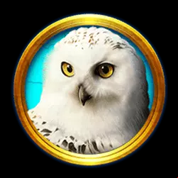 Icon 4