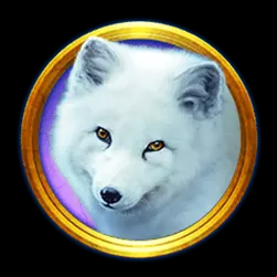 Icon 3