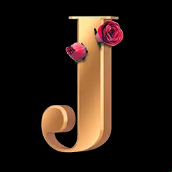 Icon 10
