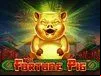 The Fortune Pig