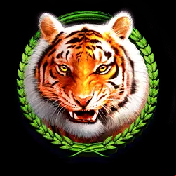 Icon 4