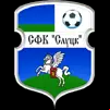 FC Slutsk