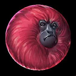 Icon 6