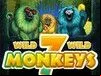 7 Monkeys