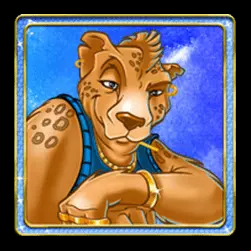 Icon 5