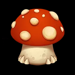 Icon 5