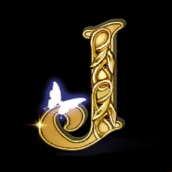 Icon 14