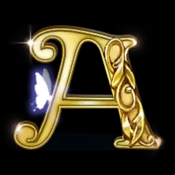 Icon 11