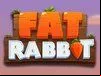 Fat Rabbit