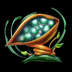Icon 6