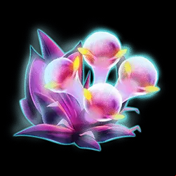 Icon 4