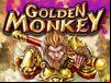 Golden Monkey