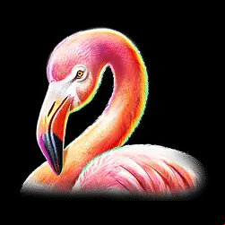Icon 6