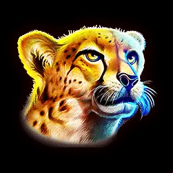 Icon 3