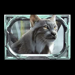 Icon 5