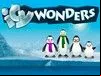 Icy Wonders