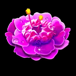 Icon 3