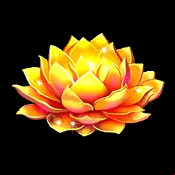 Icon 1