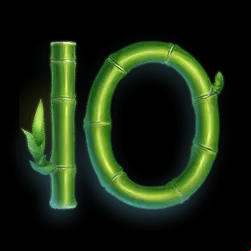 Icon 11