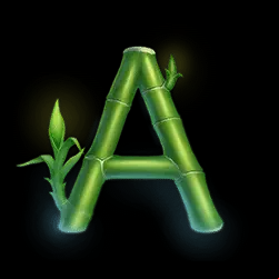 Icon 7