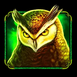Icon 3