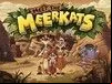 Meet the Meerkats
