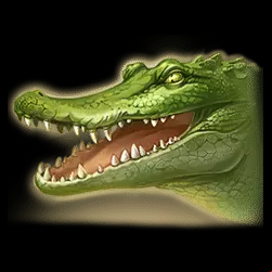 Icon 3