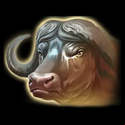 Icon 4