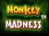 Monkey Madness
