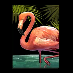 Icon 6