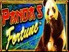 Panda’s Fortune