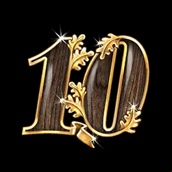 Icon 10
