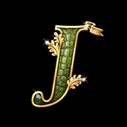Icon 9