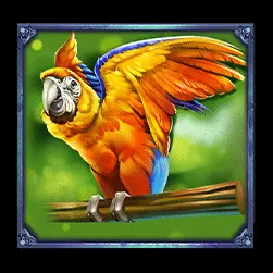 Icon 3