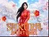 Sakura Fortune