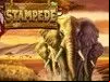Stampede