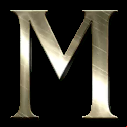 Icon 10