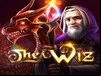 The Wiz