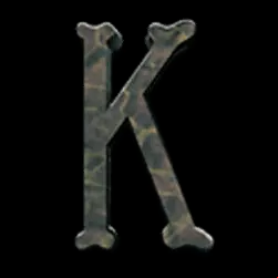 Icon 9