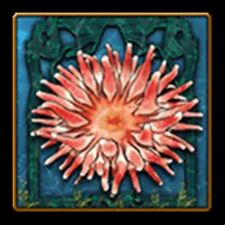 Icon 4