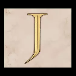 Icon 9