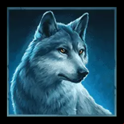 Icon 3