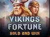 Vikings Fortune: Hold And Win