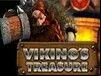 Viking's Treasure