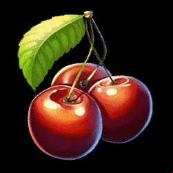 Icon 6