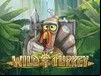Wild Turkey