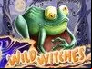 Wild Witches